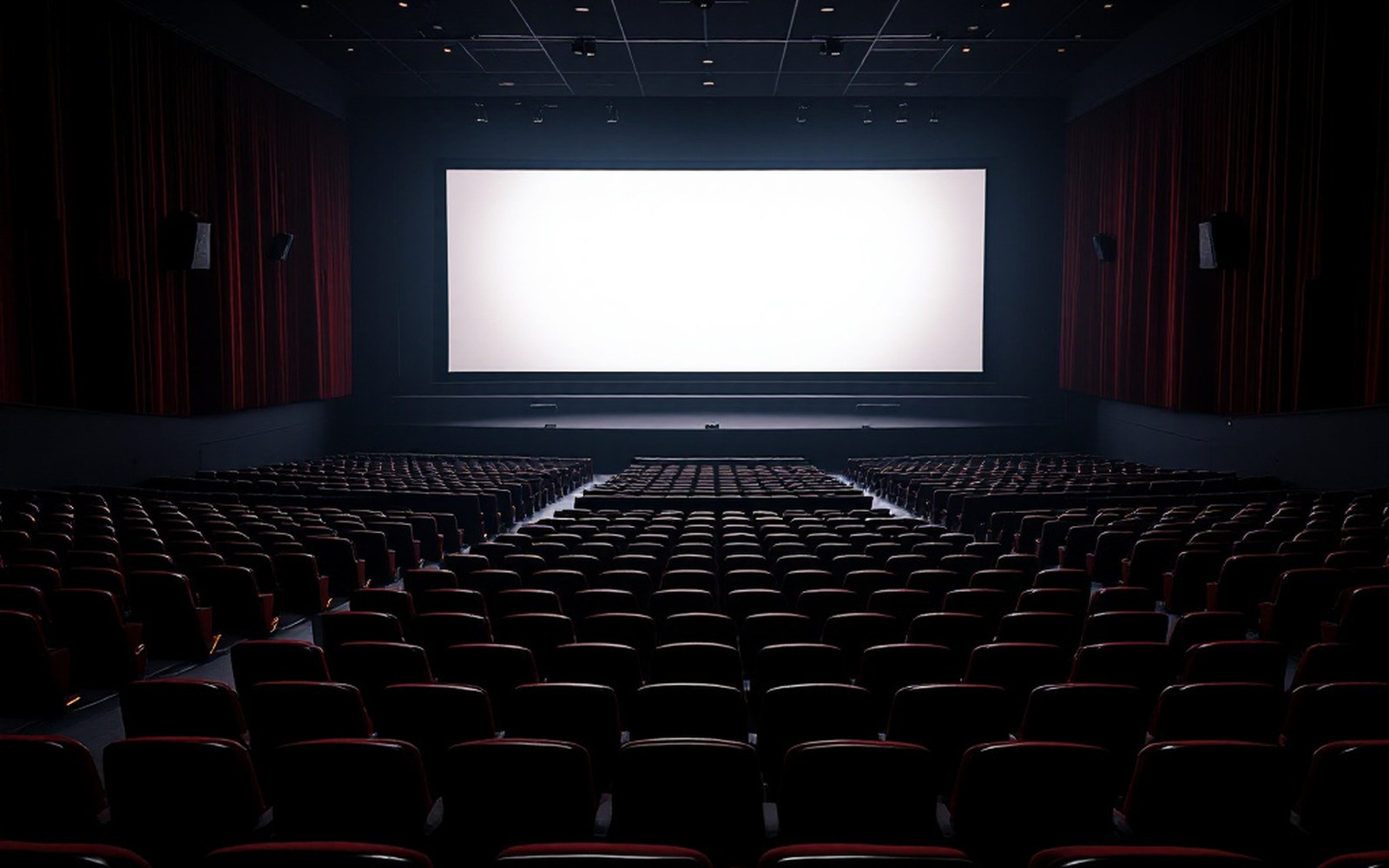 A cinema auditorium from the screen, empty, house lights low